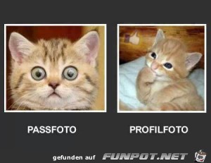 Fotos Fotos