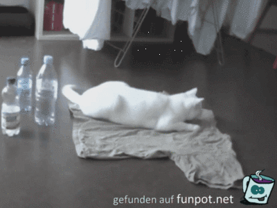 Durchstart Durchstart