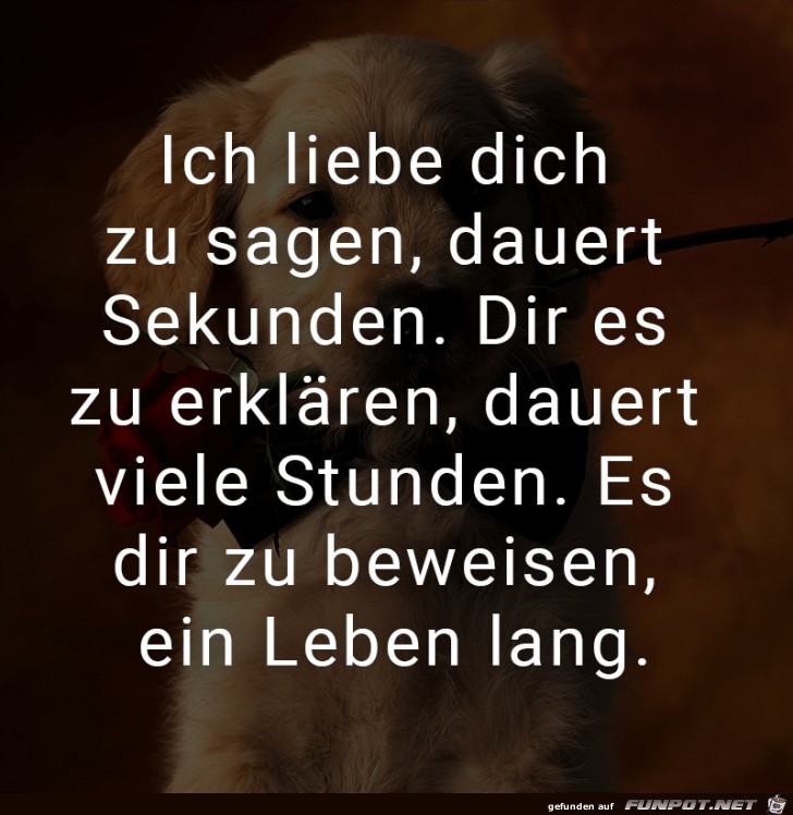 ich liebe dich zu sagen dauert Sekunden.......