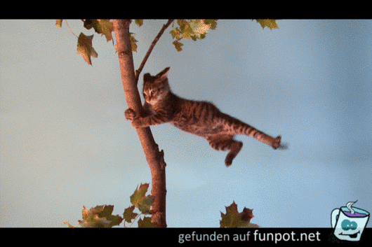 Ziemlich stürmisch Ziemlich stürmisch