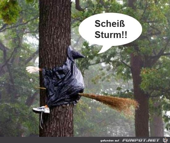 scheiss Sturm....