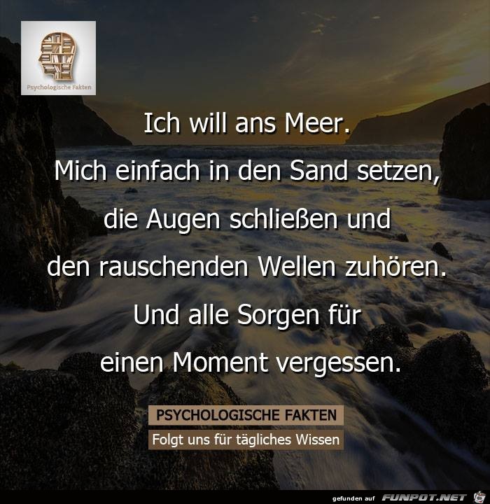 Will ans Meer