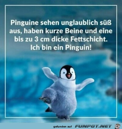 Ein Pinguin