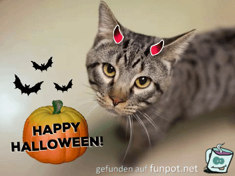 herbstlich herbstlich