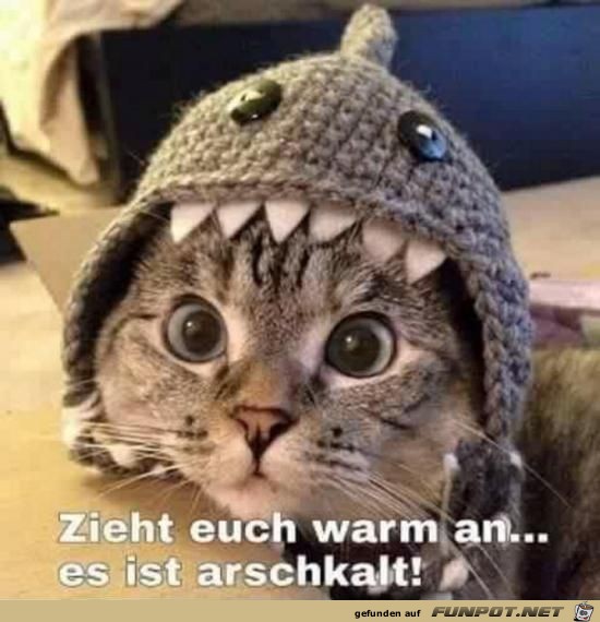 zieht euch warm an....