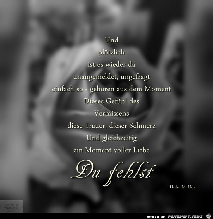 Du fehlst Du fehlst