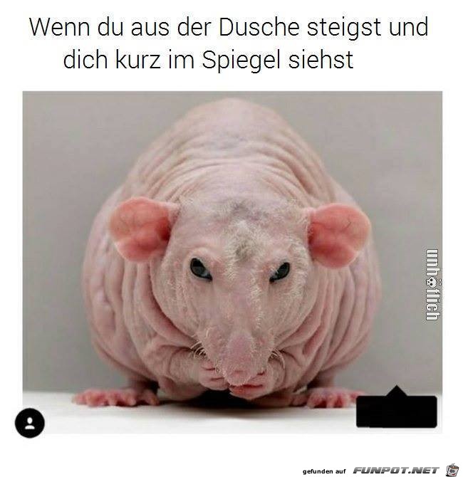 Wenn du aus der Dusche steigst