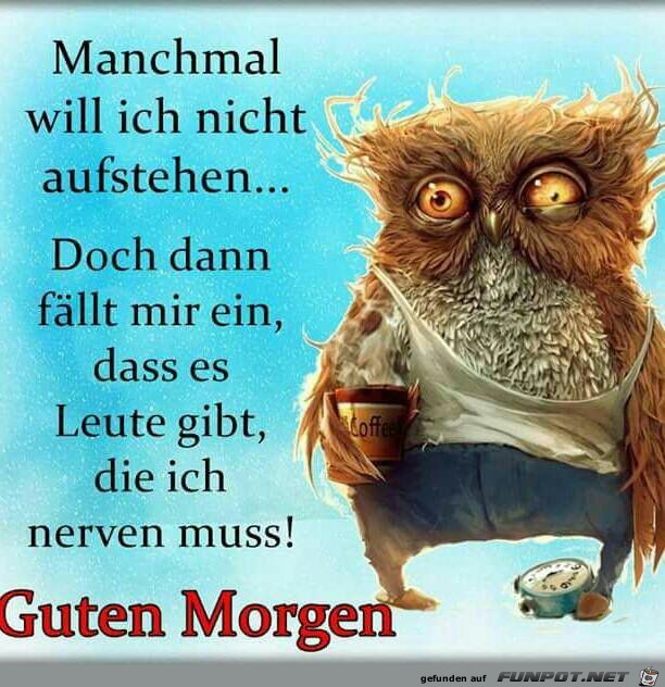 Guten Morgen