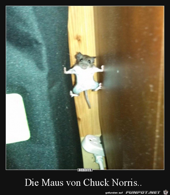 Starke Maus Starke Maus
