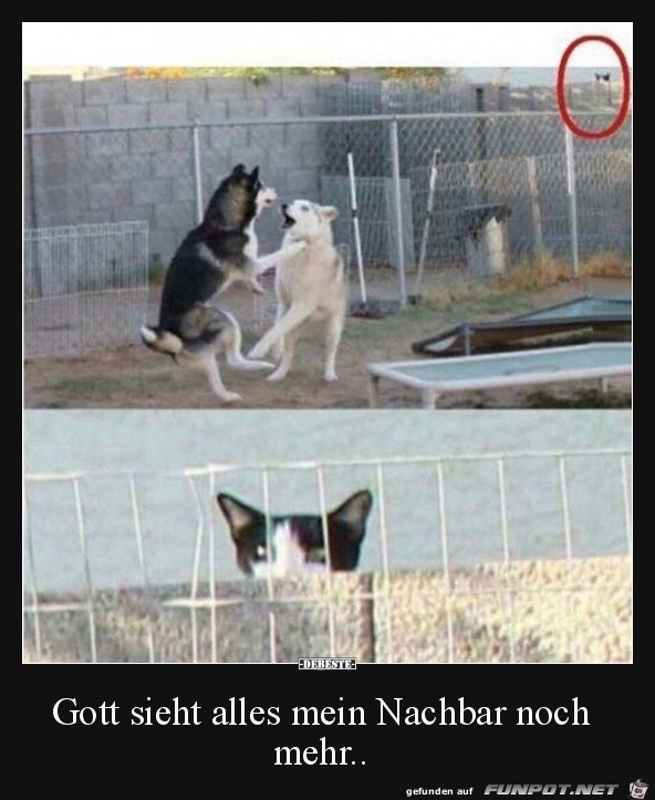 Mein Nachbar sieht alles Mein Nachbar sieht alles