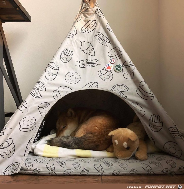 Camping Willy Camping Willy