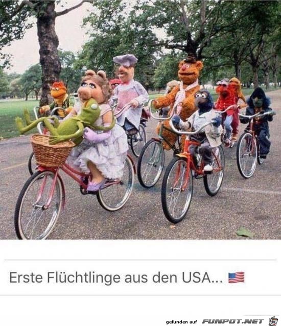 die ersten Flüchtlinge kommen aus den USA........ die ersten Flüchtlinge kommen aus den USA........