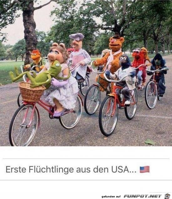 die ersten Flchtlinge kommen aus den USA........