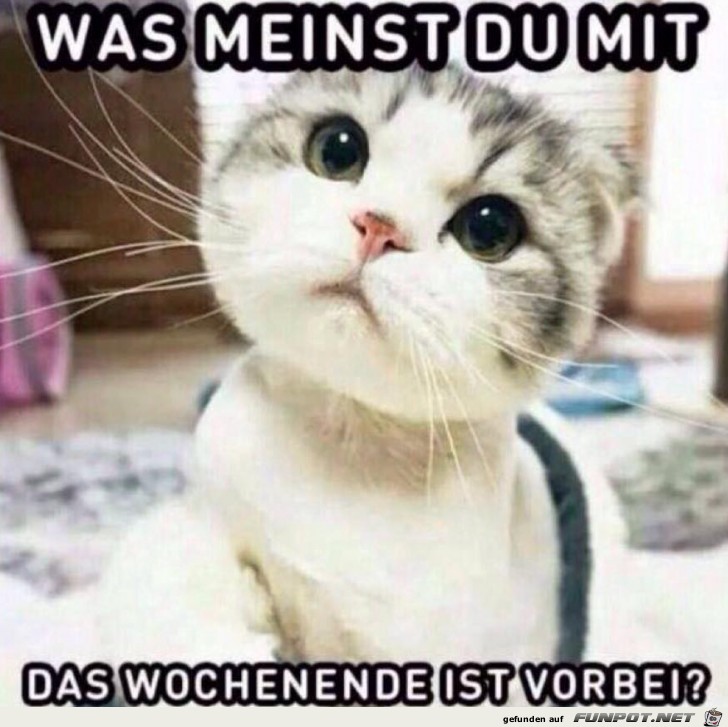 Was meinst du Was meinst du