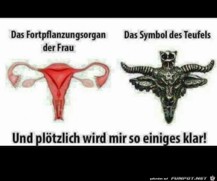 Das Fortpflanzungsorgan der Frau Das Fortpflanzungsorgan der Frau