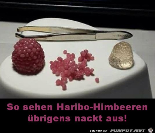 Was du schon immer wissen wolltest Was du schon immer wissen wolltest