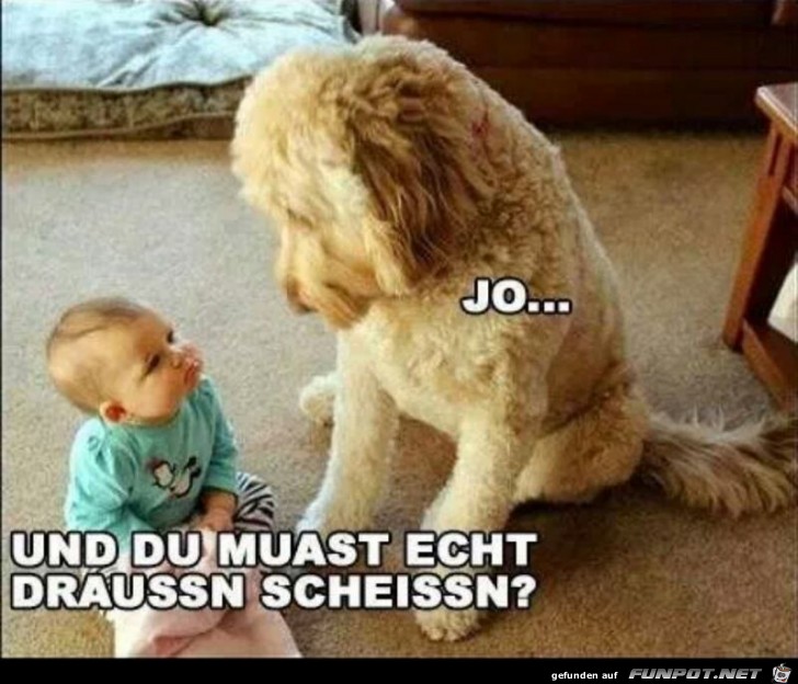 Draussen Scheissen Draussen Scheissen