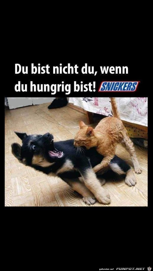 Snickers Snickers