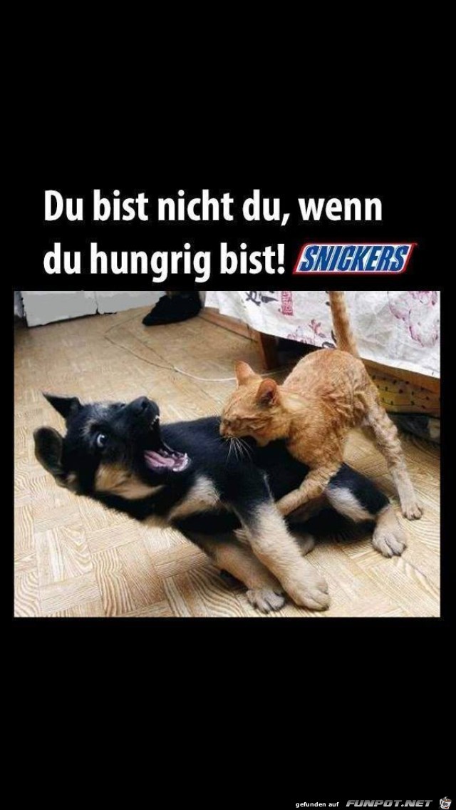 Snickers