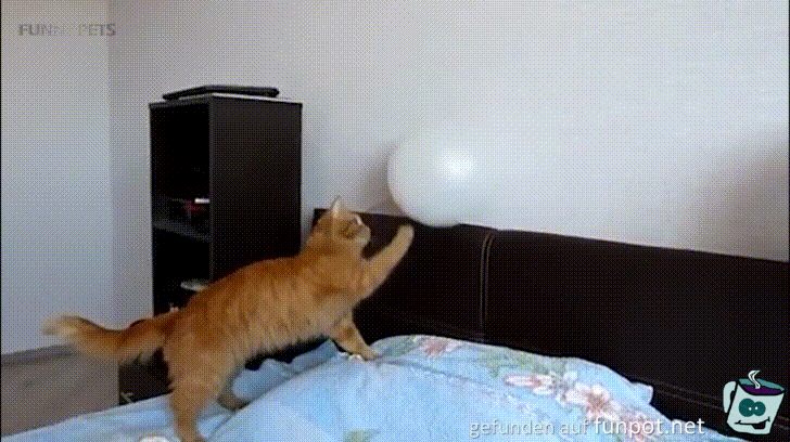 Ballon Ballon