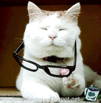 Brille hoch Brille hoch