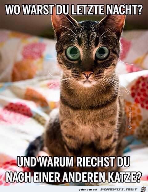 Berechtigte Frage Berechtigte Frage