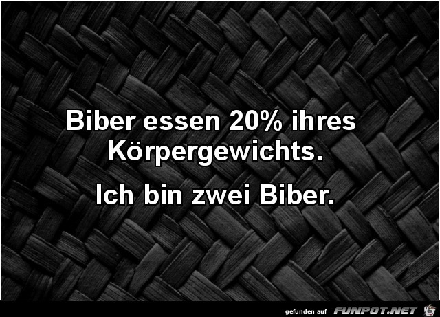 Biber Biber