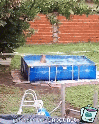 Super Pool Super Pool