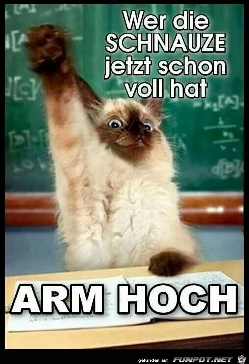 Schnausze voll Schnausze voll