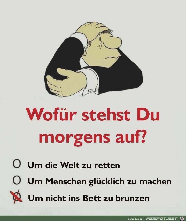 Warum stehst du Morgens auf Warum stehst du Morgens auf
