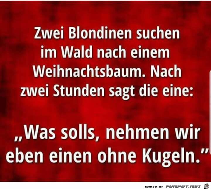 2 Blondinen 2 Blondinen