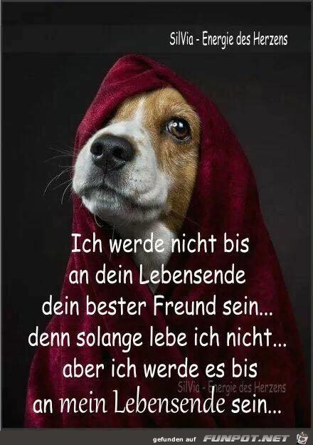 Lebensende Lebensende