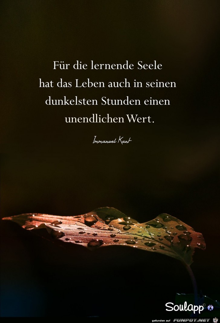Seele Seele