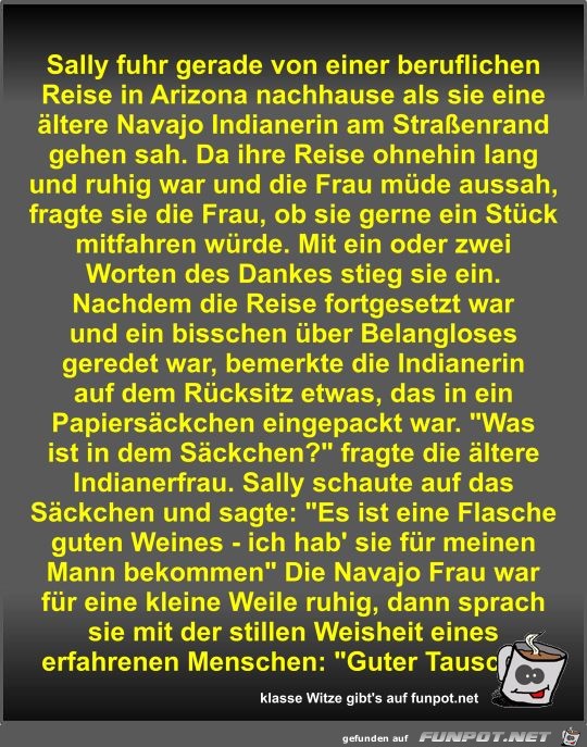 Sally fuhr gerade von einer beruflichen Reise in Arizona... Sally fuhr gerade von einer beruflichen Reise in Arizona...