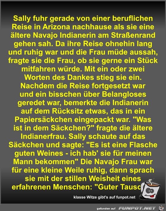 Sally fuhr gerade von einer beruflichen Reise in Arizona...