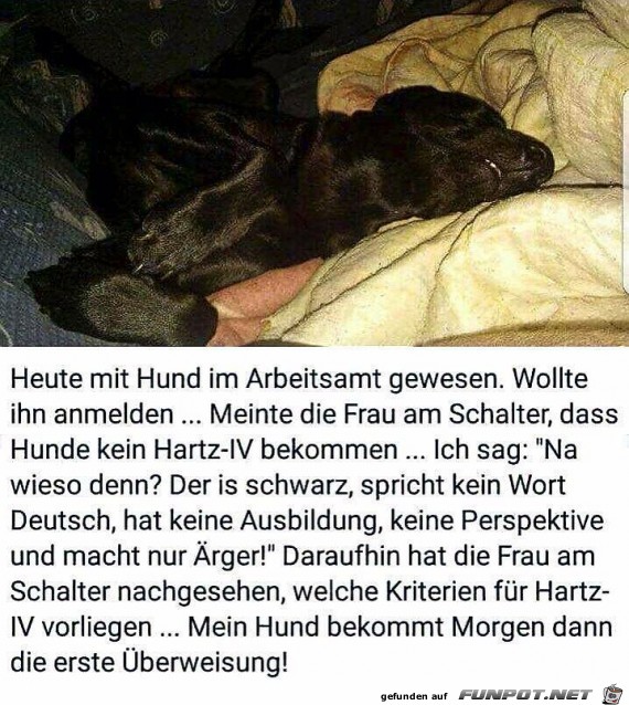 Der Hund im Arbeitsamt Der Hund im Arbeitsamt