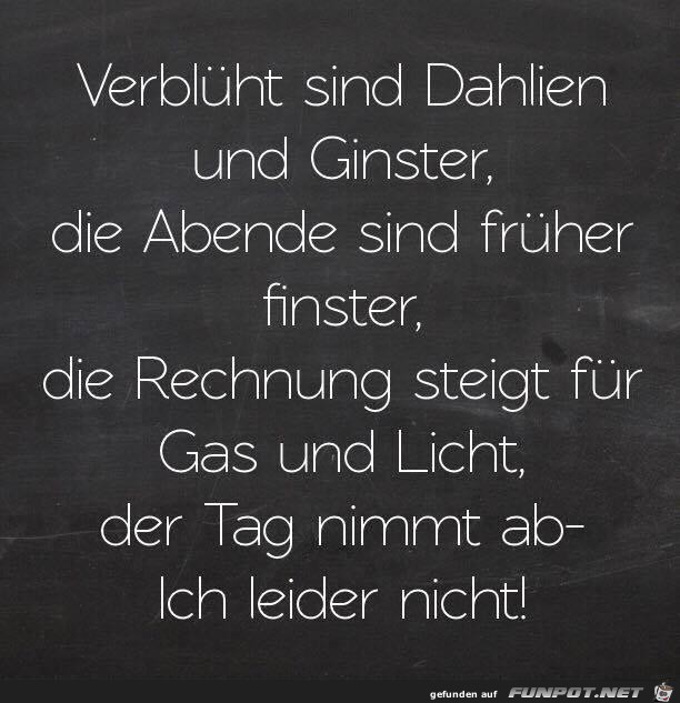 verblht sind Dalien und Ginster........