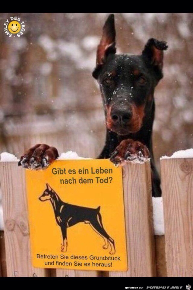 in Leben nach dem Tod in Leben nach dem Tod