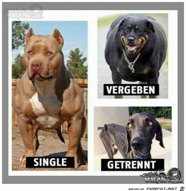 3 Unterschiede 3 Unterschiede