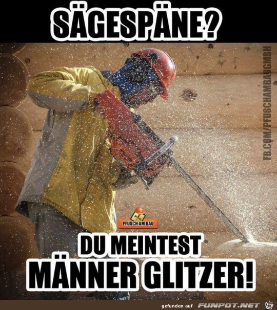 Sägespäne Sägespäne