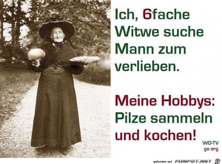 Witwe sucht... Witwe sucht...