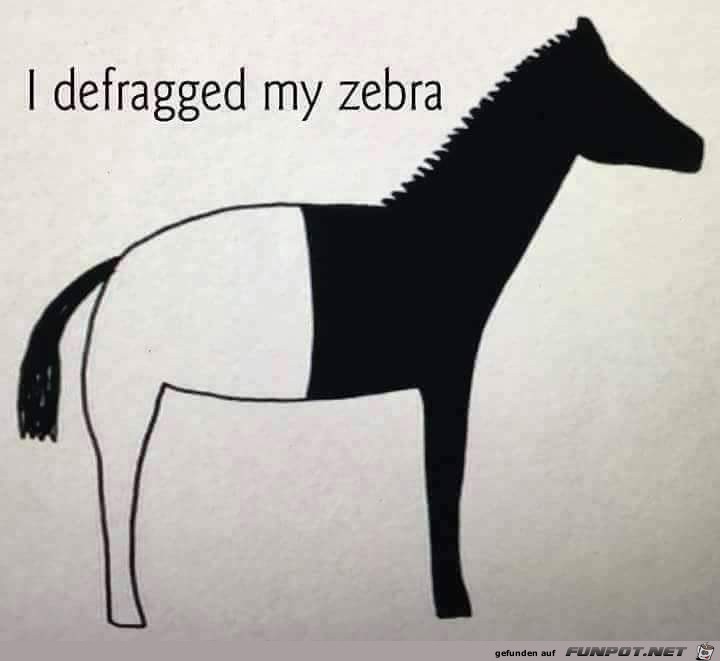 Zebra