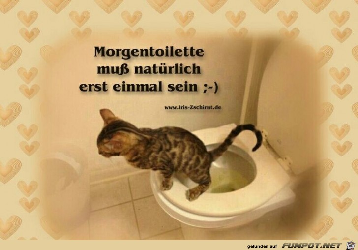 Morgentoilette Morgentoilette