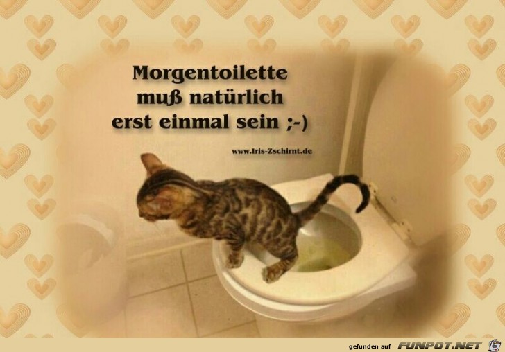 Morgentoilette