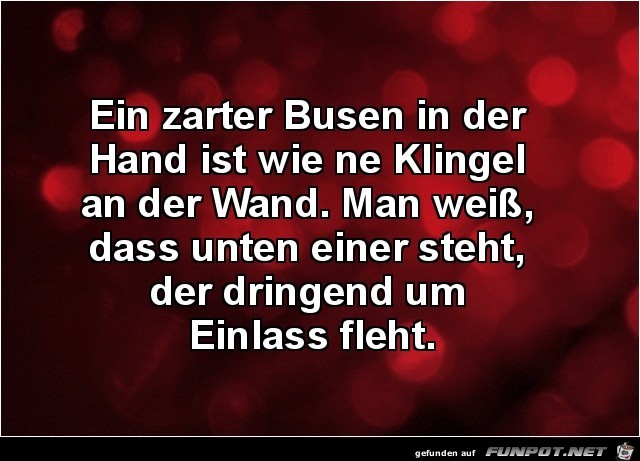 ein zarter Busen in der Hand.....