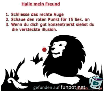Tolle Überraschung Tolle Überraschung