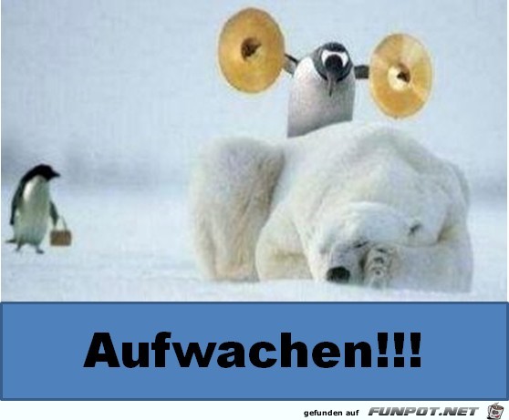Aufwachen Aufwachen