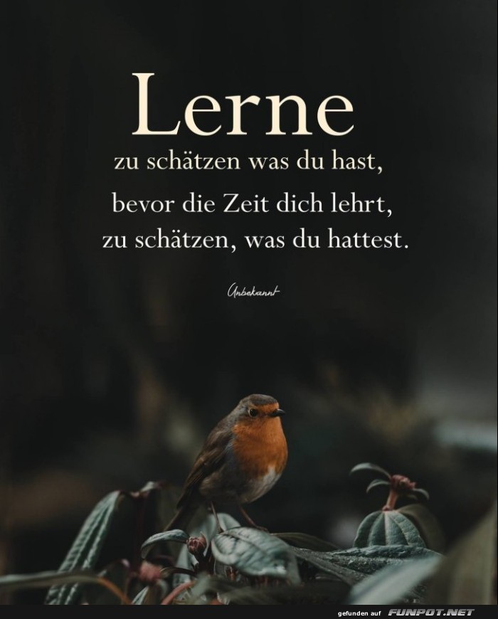 Lerne