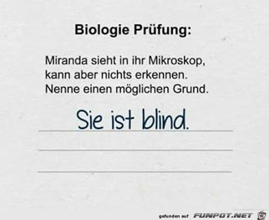 Ist ein Grund Ist ein Grund