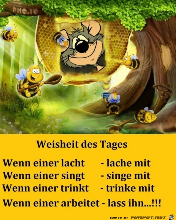 Weisheit des Tages Weisheit des Tages
